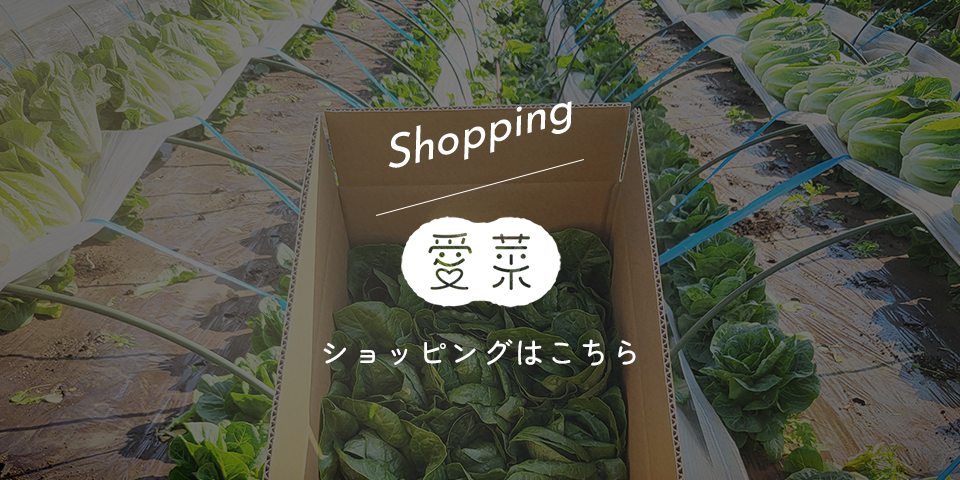 sp_banner_shopping